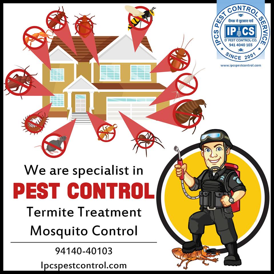 IPCSPest's tweet photo. We are specialist in #pest_control_service... Call for any #pest related problem 9414040103..
 
 #ipcspestcontrol #pestcontrolinjaipur #termitecontrol #rodentcontrol #cockroachescontrol #professionalpestcontrollers #pestcontrolservice #jaipur #Rajasthan https://t.co/XQQiiOTpCk