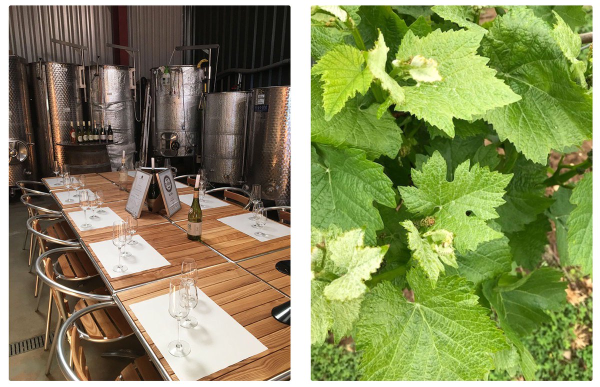 GreatBritWine's tweet photo. Read all about @groves2130's visit to #EnglishWine #EnglishSparkling producer @ChaforWine in #Buckinghamshire:
https://t.co/fyABFjN8al https://t.co/4SpL5d2BH8