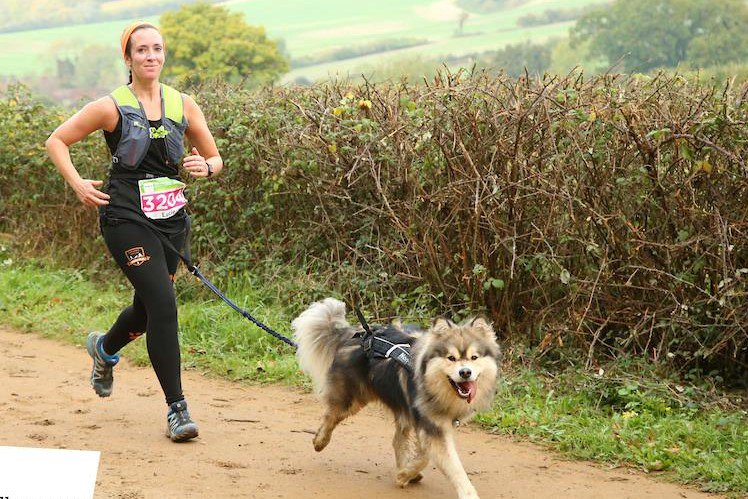 Sporty_Paws's tweet photo. If you are just starting Canicross we sell 'create your own' kits. We are always happy to help advise on the right equipment for you and your dog.
https://t.co/7qyjofBXNu
#canicross #runwithyourdog #nonstopdogwear #zerodc https://t.co/Zj76L17lxR