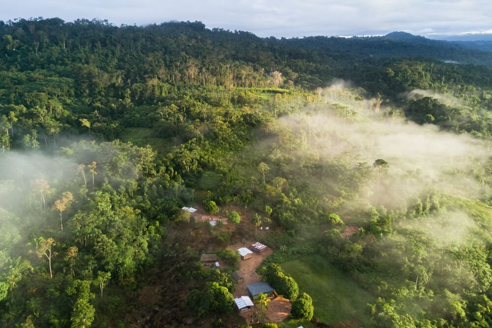 Media_Tree's tweet image. Those who live in rainforests have little historical responsibility for carbon emissions and climate change. Yet their lives are already aligning with the negative effects of increased carbon in the atmosphere. We work with @CoolEarth to keep carbon locked in, for good.