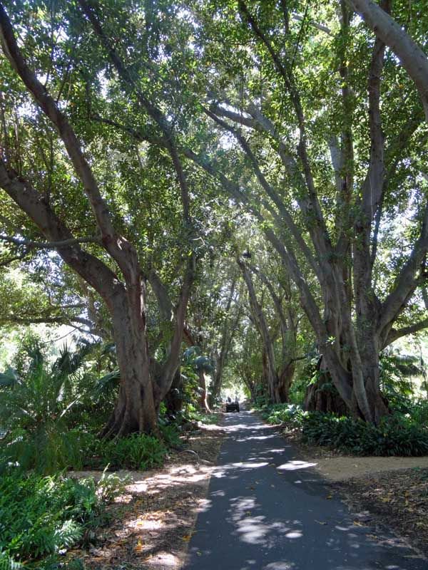 GlobalGrapevine's tweet photo. Heading to #Adelaide ? Check Out #LukeYates Top 5 Things To Do https://t.co/gozzFNDdTQ #TravelTuesday #Australia https://t.co/hlhcJlZaq8