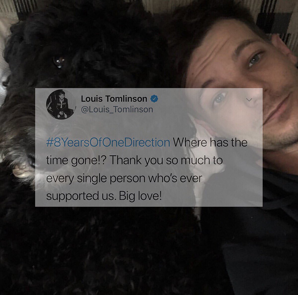 boys__fan's tweet image. （出遅れた、）

やっと揃った💖💖💖💖💖💖

毎年感動でしかない

#8yarsofonedirection 
#8YearsofOneDirectionfromJapan 
@onedirection