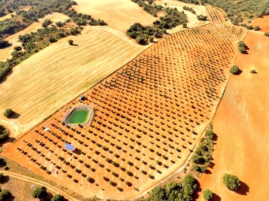 DronUrbano's tweet photo. En el campo también hay que aportar #Seguridad a las operaciones con #drones Estamos analizado zonas de vuelo donde se va a operar habitualmente para crear informe de riesgos y planificación del trabajo. https://t.co/UvRFzJxXis