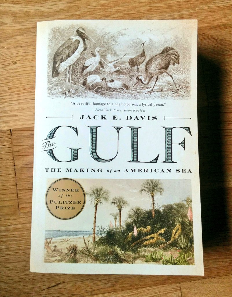 54. On a forgotten sea: a 'biography' of the Gulf of Mexico from the Pleistocene era to today. What was remarkable is how little I knew, and strikingly how little most Americans know about a much used and abused body of water with extraordinary natural life in & around it.