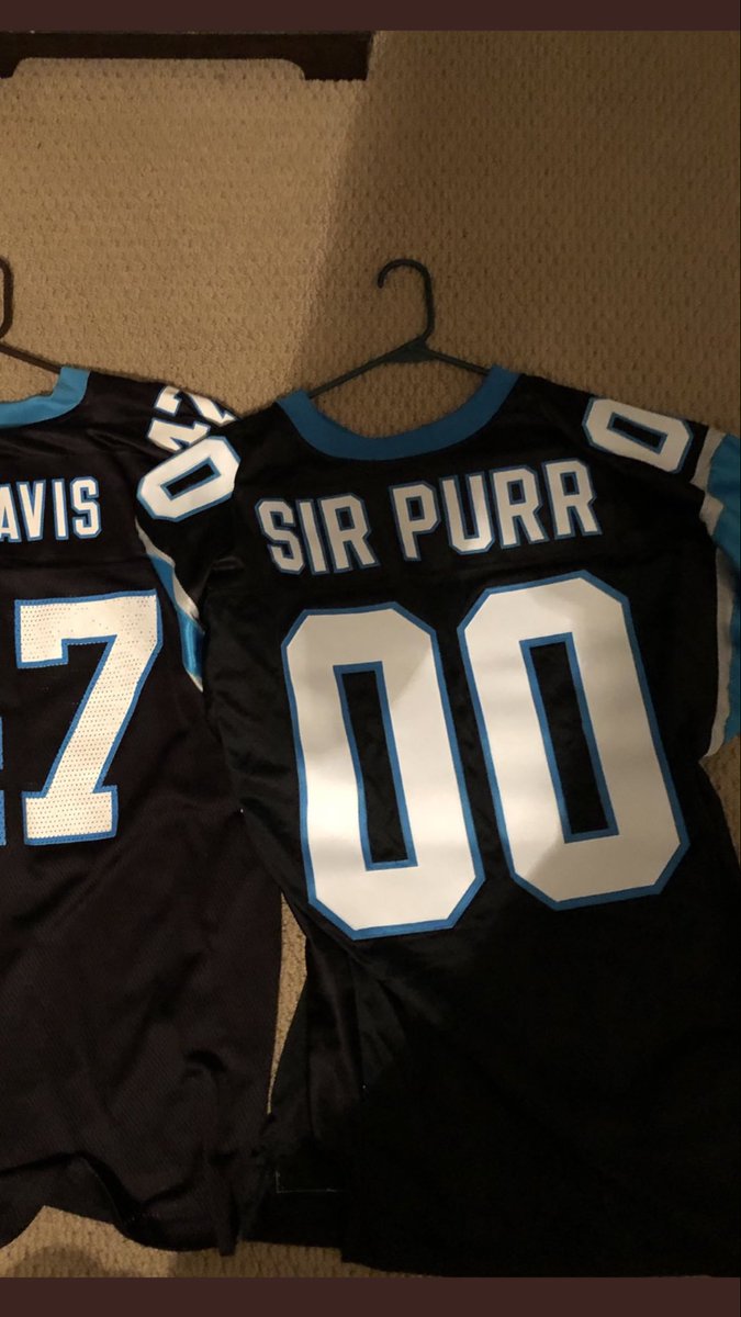 sir purr jersey