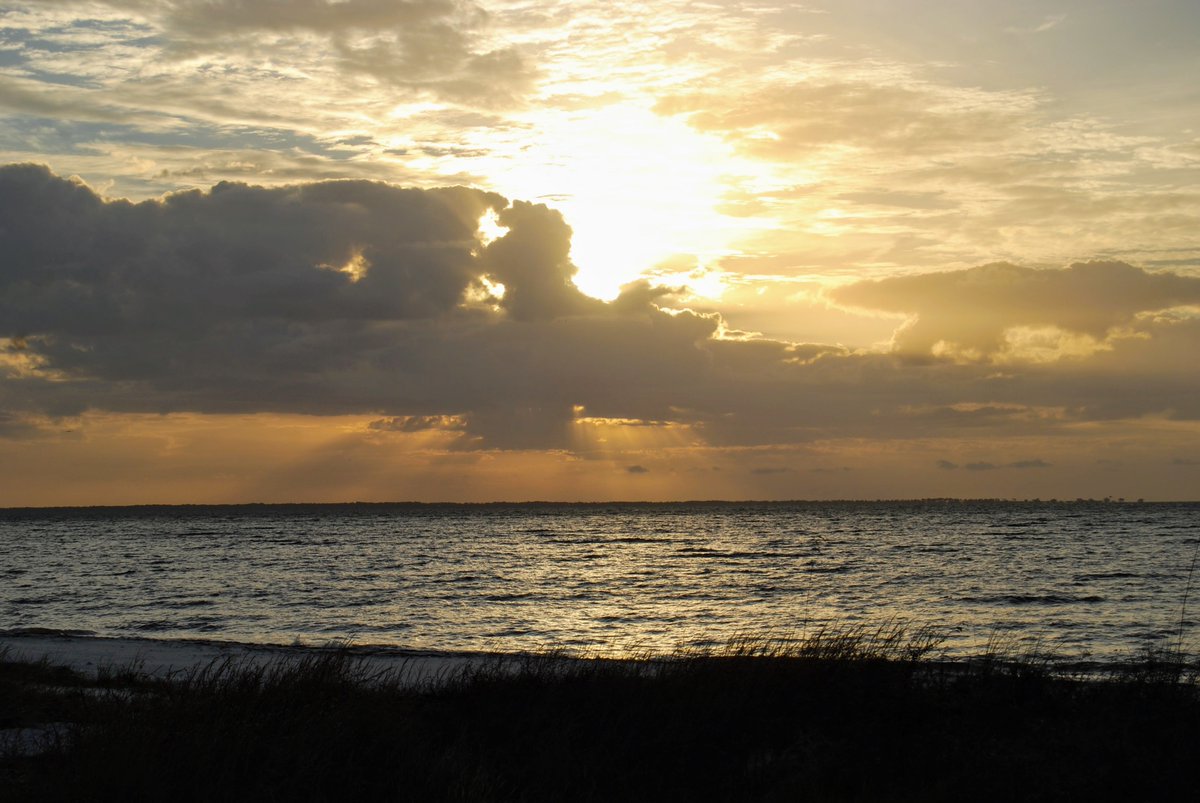 VISITFLORIDA's tweet photo. Good morning, #Florida! #LoveFL https://t.co/JGAGnaO0uI