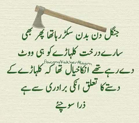 Shuja Umair Ali (@umair_alim) on Twitter photo 