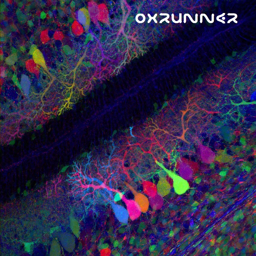 oxrunnerband's tweet image. Brand new EP OUT TODAY. #NEWPROGROCK #newmusic
#altmetal #alternativerock #progrock oxrunner.bandcamp.com/album/brainbow…