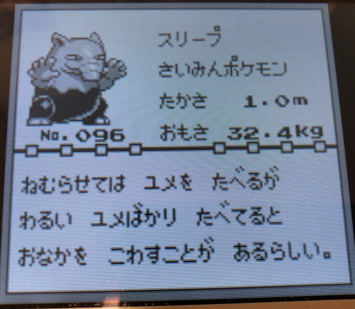 ポケモンプレイ日記