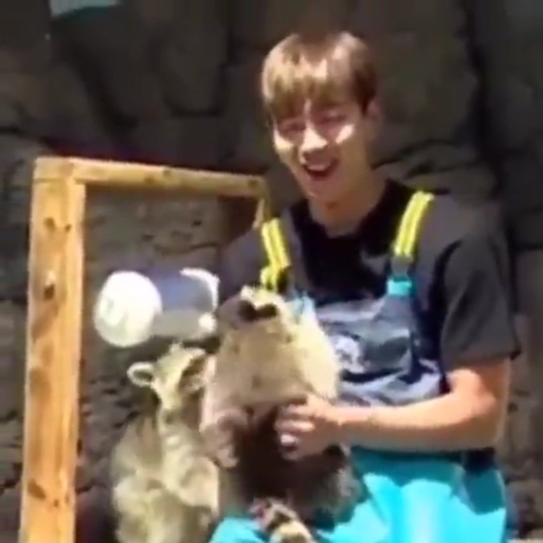 웃자..라쿤을주물대는셔누처럼