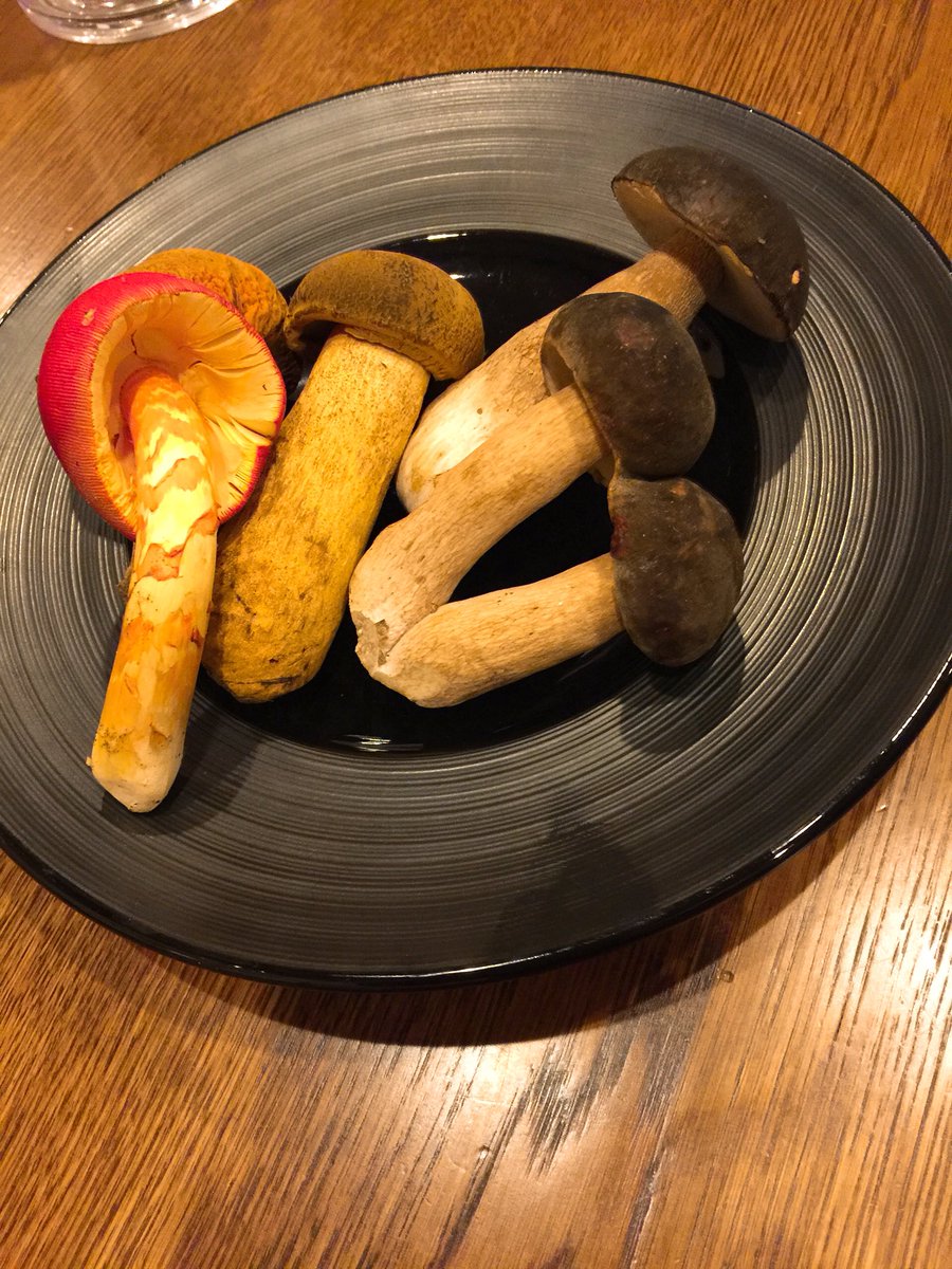 S_Hokuto's tweet photo. 上諏訪侮れぬ！
美味いイタリアンを発見！
素材の味を大事に。楽しみができた！
これはまた予約確定(^^)
#上諏訪 #諏訪市 #DANLO #イタリアン #素敵なお店 #美味料理 #諏訪市の宝 https://t.co/QIp7r19xrX