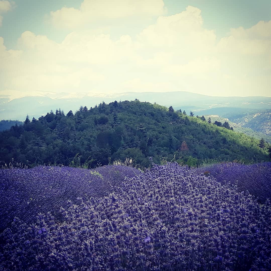 GRasschaert's tweet photo. #peaceful #morningride #GorgesDeLaNesque @GorgesDeLaNesque @Vaucluse #Ventoux https://t.co/V15p01Iurj