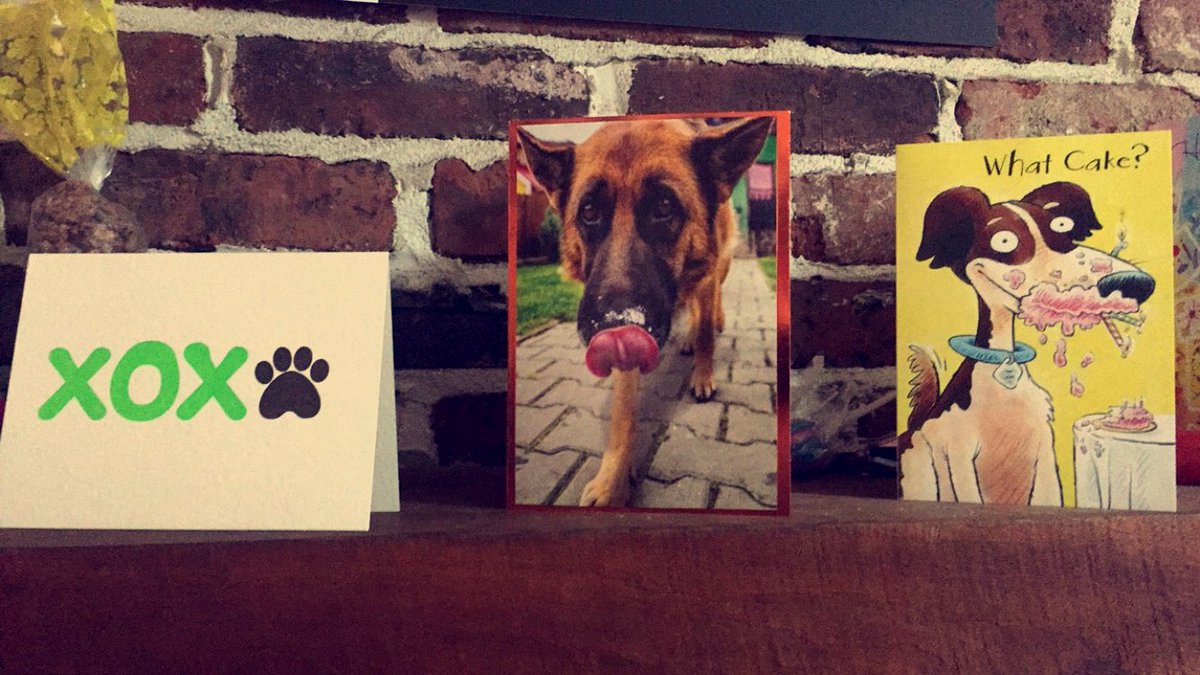 IntrepidBeing's tweet image. Was everyone thinking the same thing when buying birthday cards for me?