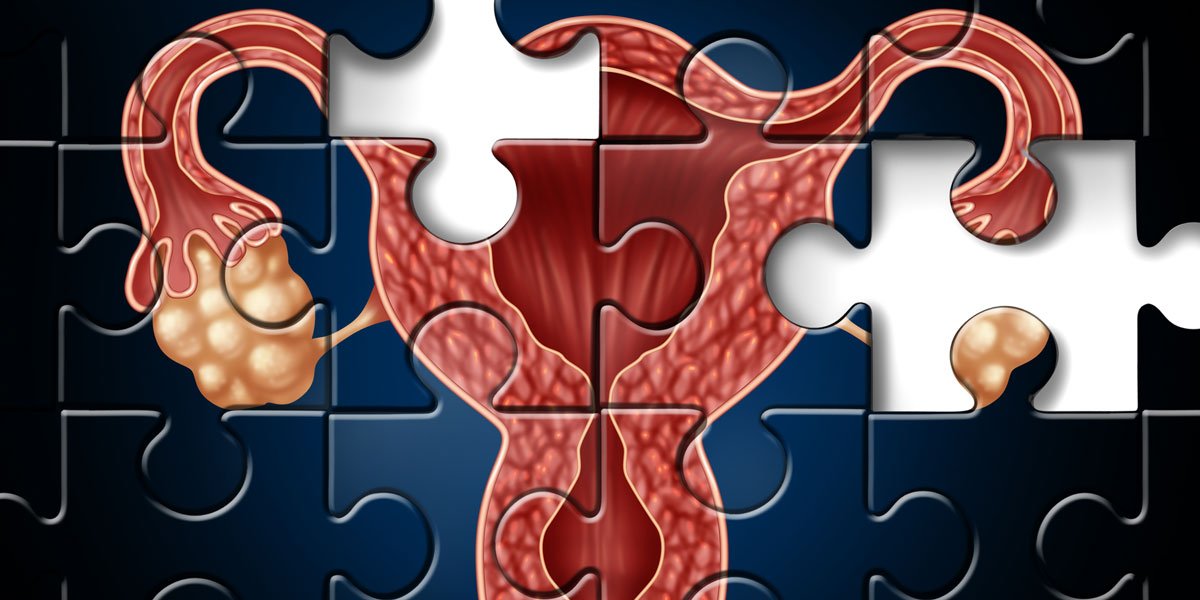 GMWatch's tweet photo. #Glyphosate-based herbicide impairs female fertility – new study https://t.co/xPoR6c70t4 Shock additional finding of malformations in second generation offspring https://t.co/LtBn3kjx0D