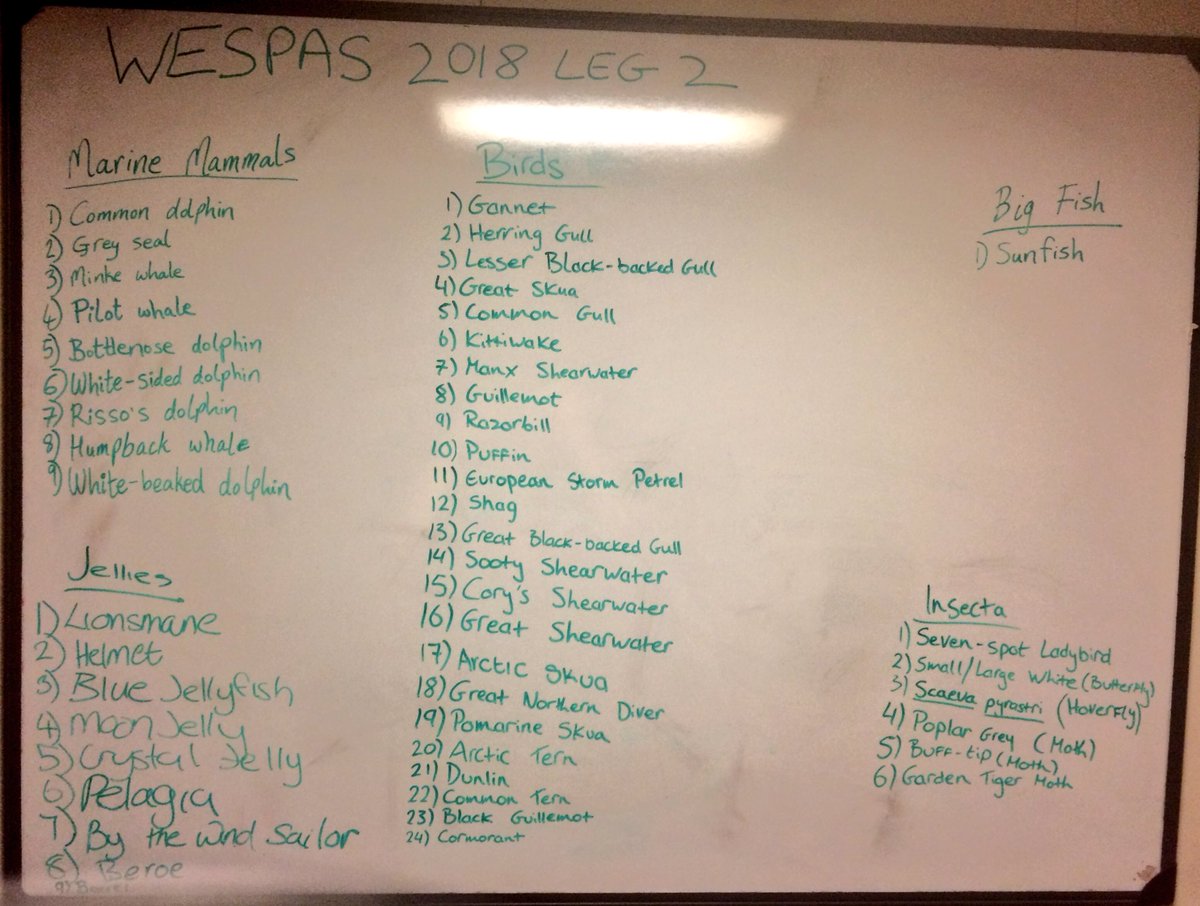 That’s all folks, the #WESPAS survey is done and dusted! Here are some of the bits and bobs we saw on our 3 week long voyage. Big fish list lacked a bit alright, but we made up for it with our marine mammals, birds, and of course the jellies 😉 #RVCelticExplorer