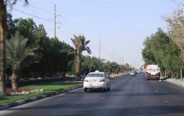 msafr2002's tweet photo. شارع الثريات قبل 7 سنوات ونفس الشارع الآن
عجزت أفهم هل الشجر والزرع أعداء لكم ؟
أعيدوا للأحساء زرعها ونخيلها وكفايه تصحر 
توقفوا عن تقليم الأشجار ودعوها تخضر وتكبر

#ماذا_ينقص_الاحساء 
@alhasamunicipal https://t.co/Ir3CqLHaph