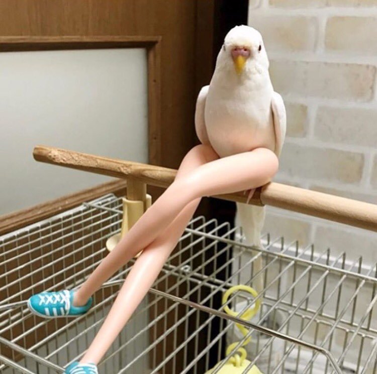 aartvsam's tweet image. Qual è il piano #ProjectInfinity