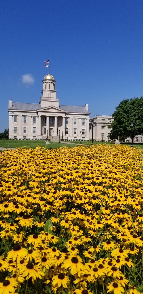 lizzy_wanders's tweet image. Clearly, the hippest kids in Iowa City. Best coffee. Must-go places to eat. Coolest Instagrams. Finest personalities. Having such a wonderful experience. #ISJW2018 #advancedgraphicdesign