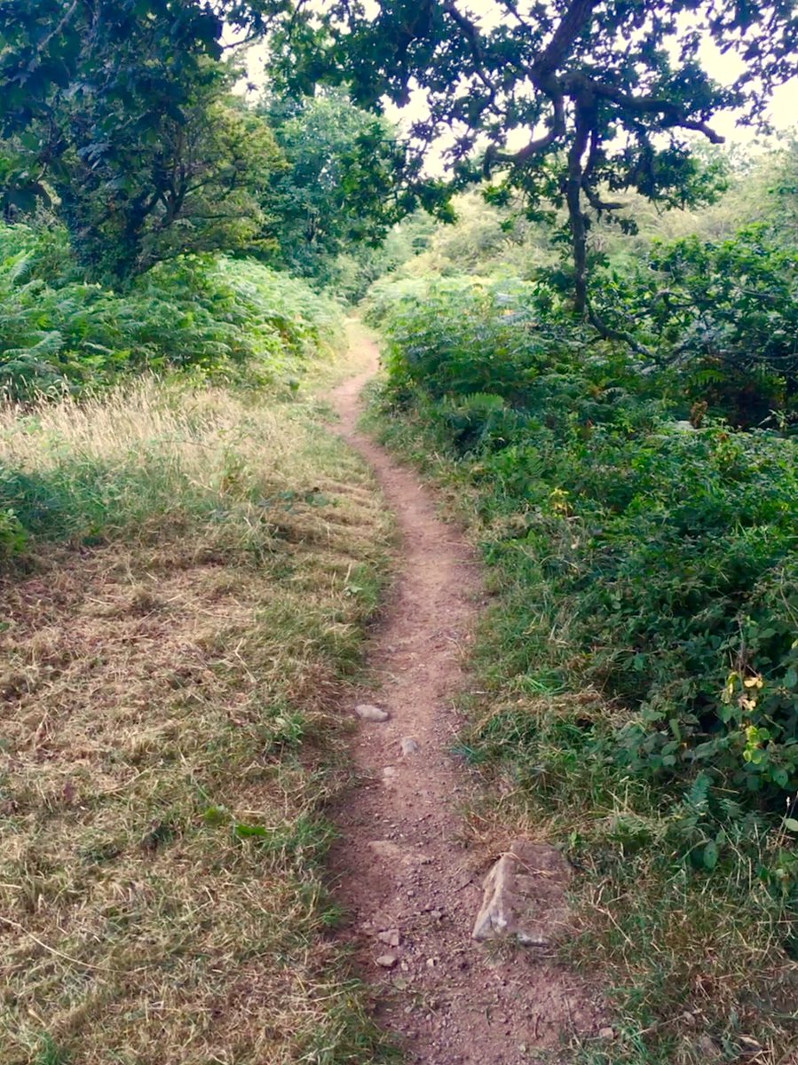 twenteefour12's tweet photo. The course team have been very busy clearing the course the last two days #pivot2412 https://t.co/Ki32ms97Qm