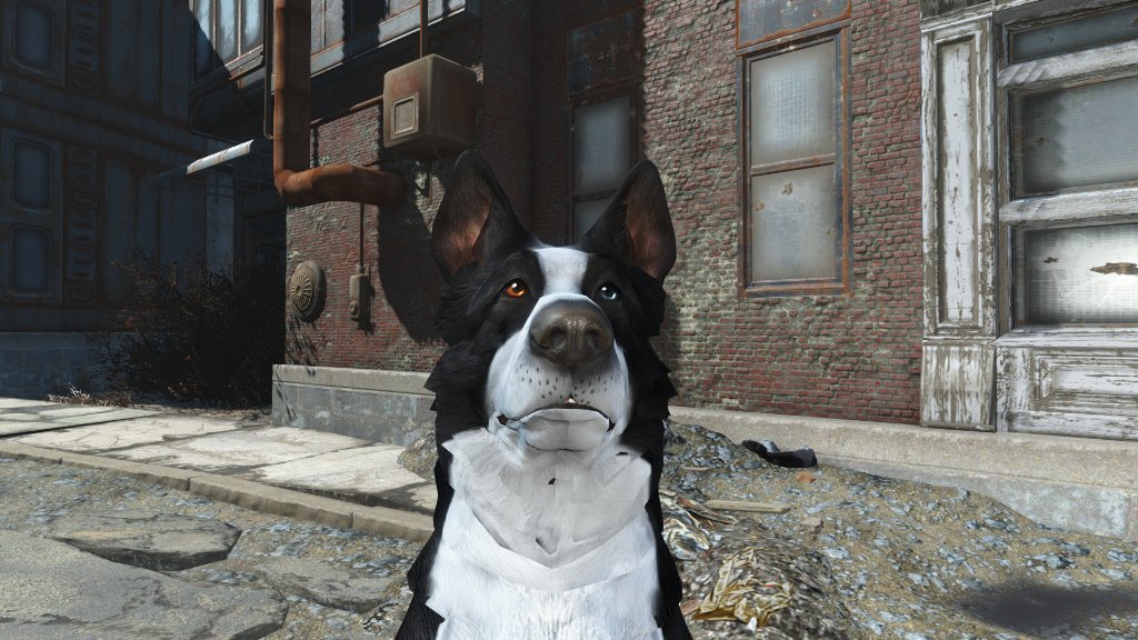fallout 4 dog mod fallout 4 dog mod