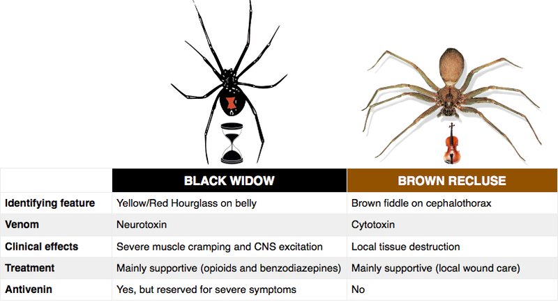 NachiGupta's tweet photo. Ep 44 of @Roshcast: Spider Bites, Biphasic T Waves, Lyme Disease, Syringomyelia, Wernicke’s Encephalopathy, Electrolyte Abnormalities
https://t.co/PUUtcNaN1A
https://t.co/kjhepF6RkV
#foamed https://t.co/2M2C8U1rwY