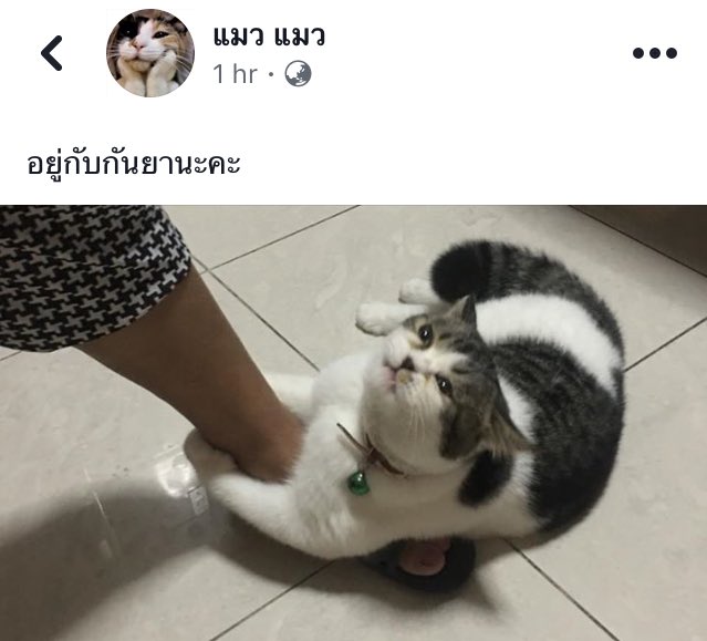 여름🌤️ tweet media