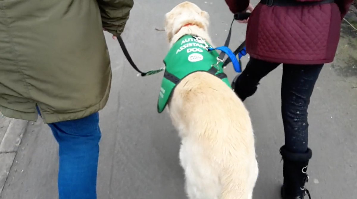 destinyofachild's tweet photo. If you're curious what do the @DogsforGoodUK dogs get up to when they're not in training, here it is! 🐶💚
https://t.co/QikKdaFX9e https://t.co/TaEbva2oqs