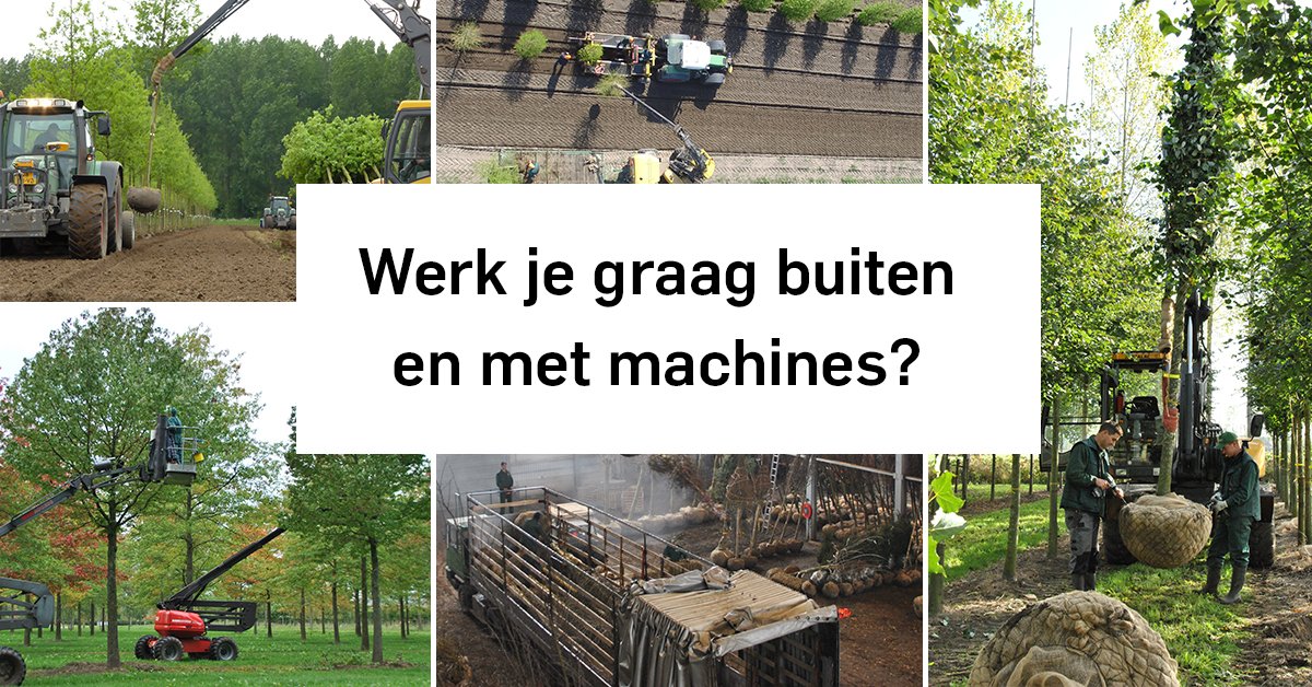 Wij zijn op zoek naar nieuwe collega's! Ben of ken jij een plantenliefhebber die graag met machines werkt? Reageer dan nu op onze vacature: (Assistent) Boomkweker (m/v).  Kijk voor meer informatie op onze website. goo.gl/AjJKEf