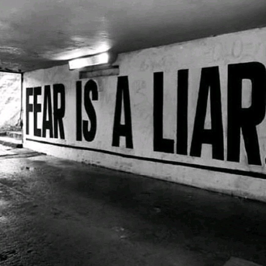universal_soldr's tweet photo. DON'T BELIEVE LIARS!

Fear can paralyze you, but I've learned to do things anyway while afraid. My humble and unsolicited advice is to do it while you're scared, your outcomes might actually surprise you!

#UNIVERSALSOLDIER https://t.co/ggREmmX9Z6