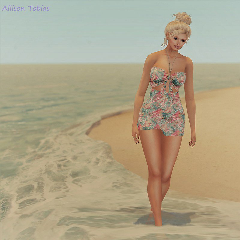 FabFreeInSL tweet picture