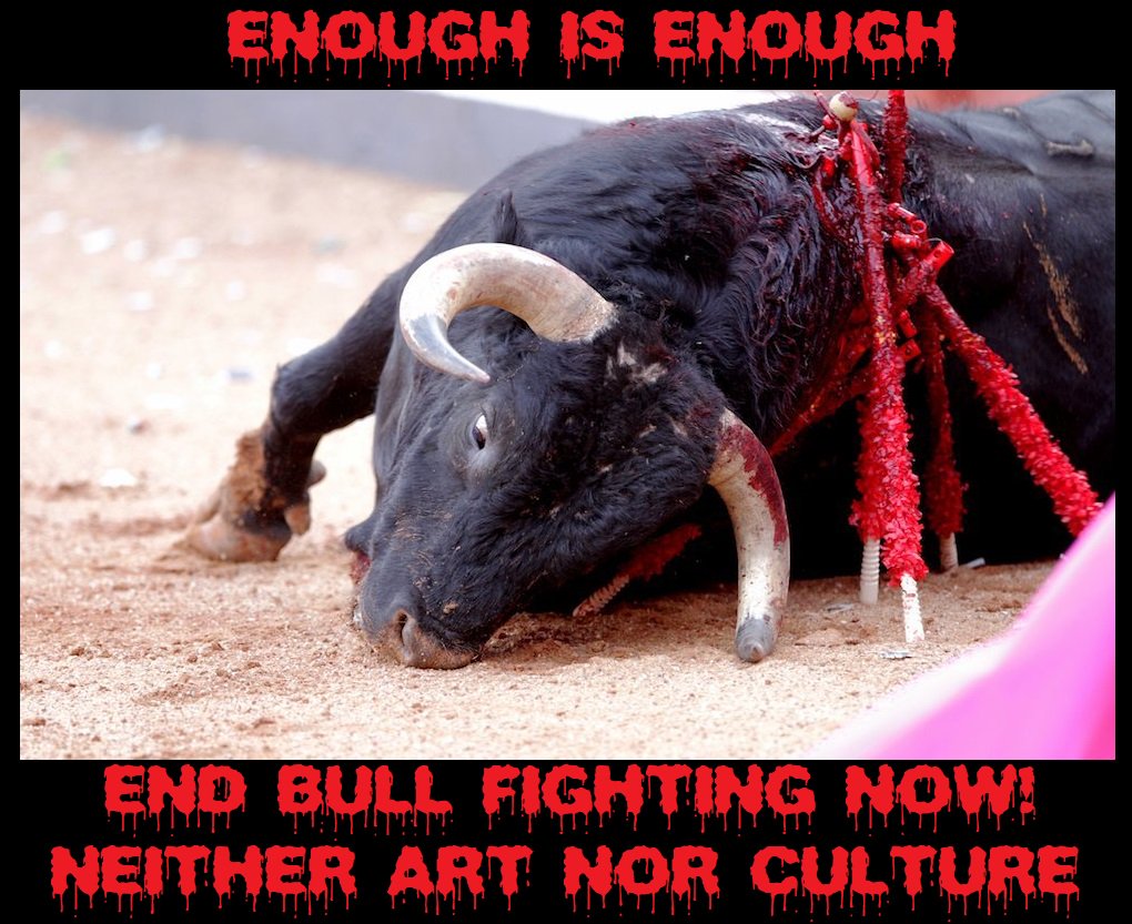 Protect_Wldlife's tweet photo. Please Sign &amp; RT: Tell The Spanish Prime Minister Pedro Sanchez ~ NOW is the time to end bull-fighting. It is NEITHER art nor culture - IT IS BARBARIC!! 

Please sign at https://t.co/VX0p5ocUom

RT if you want a TOTAL ban on #bullfighting NOW!!

#CompassionOverCruelty https://t.co/EcKCP7tOok