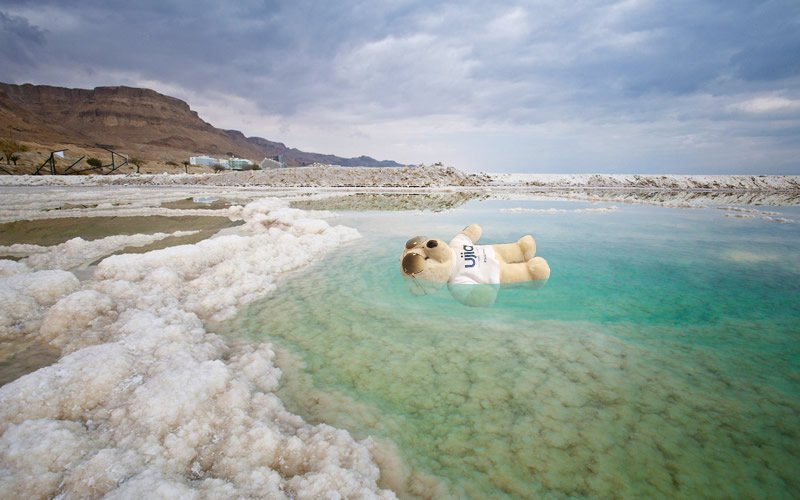 UJIAcharity's tweet photo. Got some water in his eye but TED is managing to keep afloat ๐๐ช๐ผ Ted ๐ฎ๐ฑ #TedOnTour #DeadSea #JustKeepFloating #SaltBae https://t.co/pnbDePJoQK
