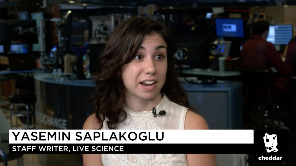 Purch's tweet photo. Can VR save Nefertari's Tomb from tourist-induced destruction? Were Earth's ancient oceans bright pink?! @LiveScience's @yasemin_sap has answers on @cheddar https://t.co/OIuuyIkkoV #CheddarLIVE https://t.co/i7ZH9kof95
