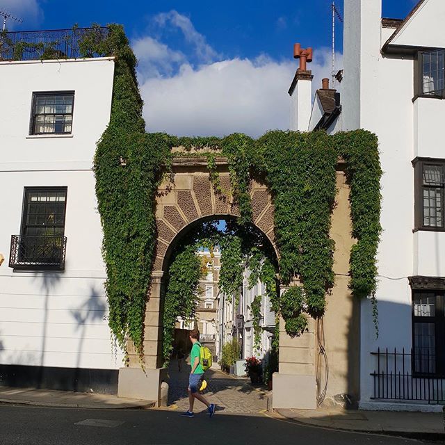 UrsulaBarzey's tweet photo. When everything almost lines up. Meaning had I snapped this picture two seconds earlier, this chap would have been dead center under this arch. Oh well, i still like the picture. 🌳
.
#GoRoam #ThreeGallery #WallOfVines #HousesOfLondon #ThisIsLond… https://t.co/dqkVI7ZfEO https://t.co/FBZ32qsxrx