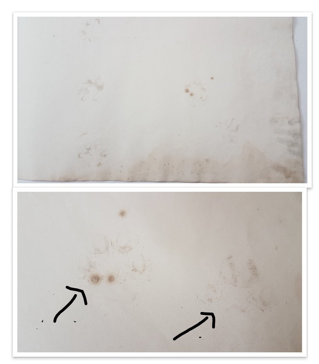 paperworksliz's tweet image. Here&apos;s something I don&apos;t typically see during #conservationtreatment...muddy cat paw prints on the reverse of an 1830&apos;s map 🐱. This wasn&apos;t something we covered in the course at @NorthumbriaUni 😂
#paperconservation 
#conservationproblems