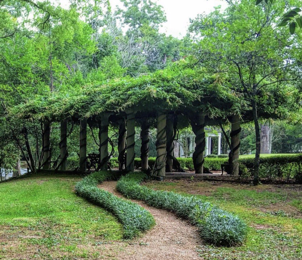 visitnatchez's tweet photo. Beautiful Wisteria at @monmouthp #visitnatchez https://t.co/9lDQW3LvGA