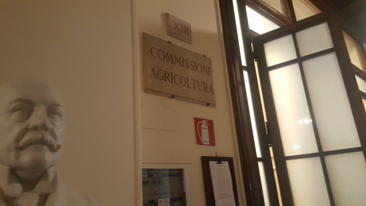 corradomartina1's tweet photo. #Agroalimentare. #Audizione Commissione Agricoltura #Camera. #Presentati #punti #programmatici https://t.co/SxIsiNUO6i