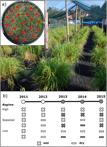 ESAEcology's tweet photo. #New in @ESAEcology
Reduced #competition enhances #community temporal #stability under conditions of increasing #environmental stress
#drought #riparian #ecosystem #asynchrony #stressgradient
https://t.co/HO2FgLHX7d https://t.co/NPDhI0JWfu