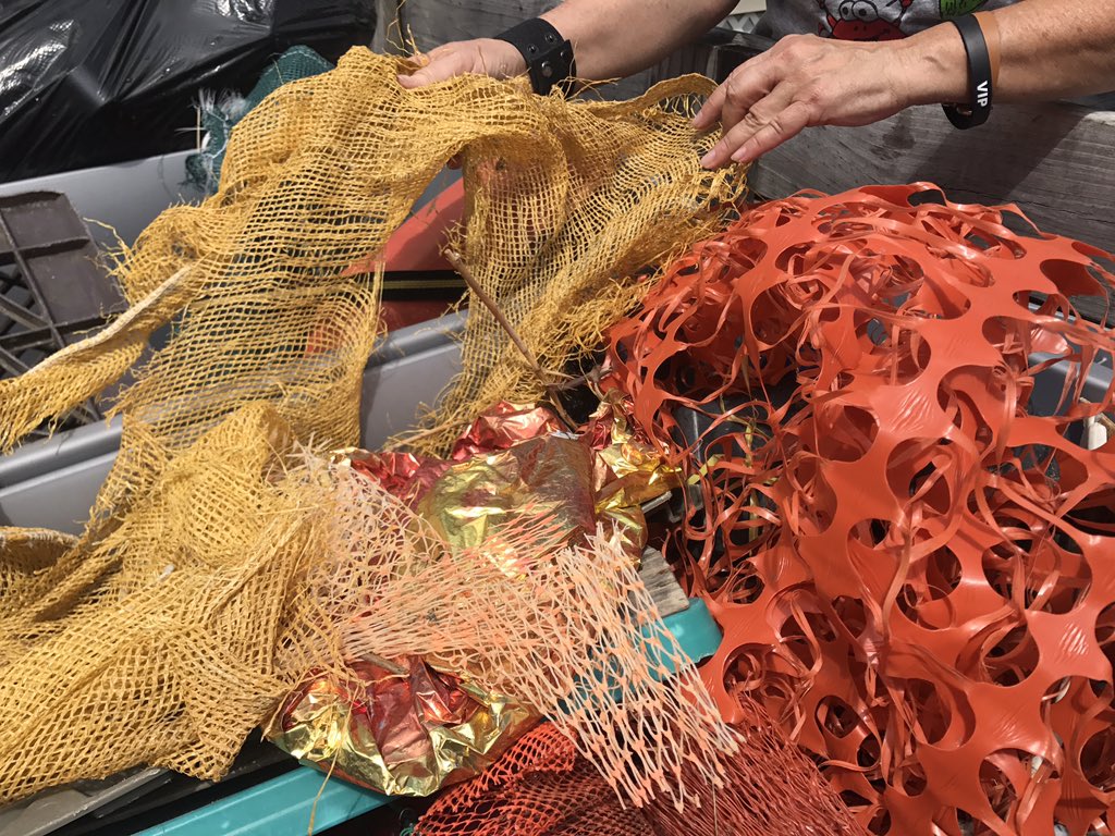 Caroline Patrickis tweet media