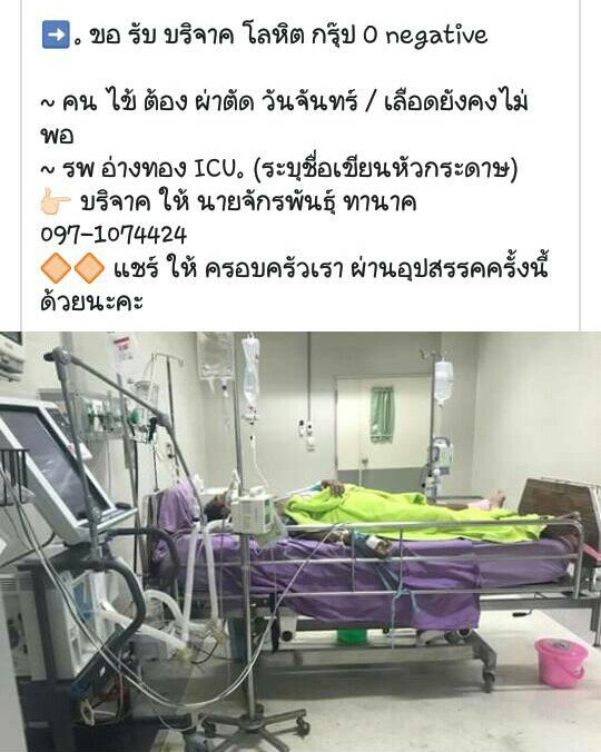 cho_jiraphorn tweet media