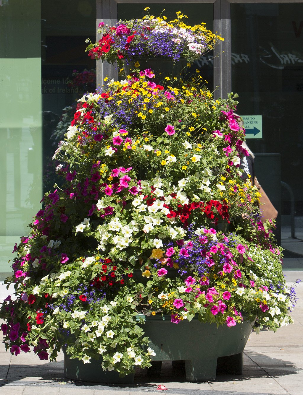 Limerick Council on Twitter "Our blooming floral displays add a splash