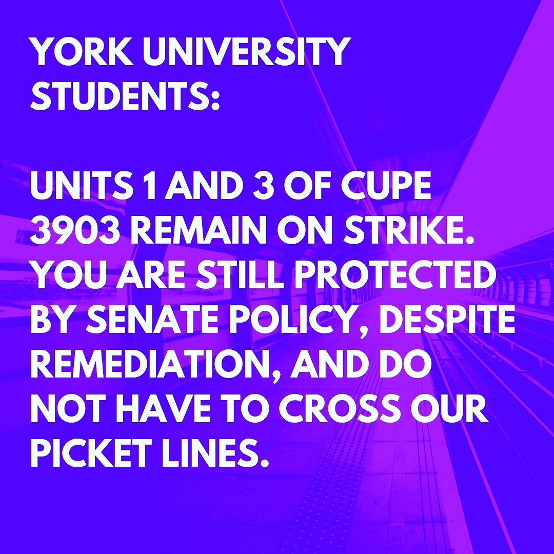 cupe3903comms's tweet photo. YorkU students: the #yorkustrike continues for Units 1 and 3 and despite remediation,  you are still protected under senate policy and don't have to cross the picket lines! https://t.co/FXDoafQTRX