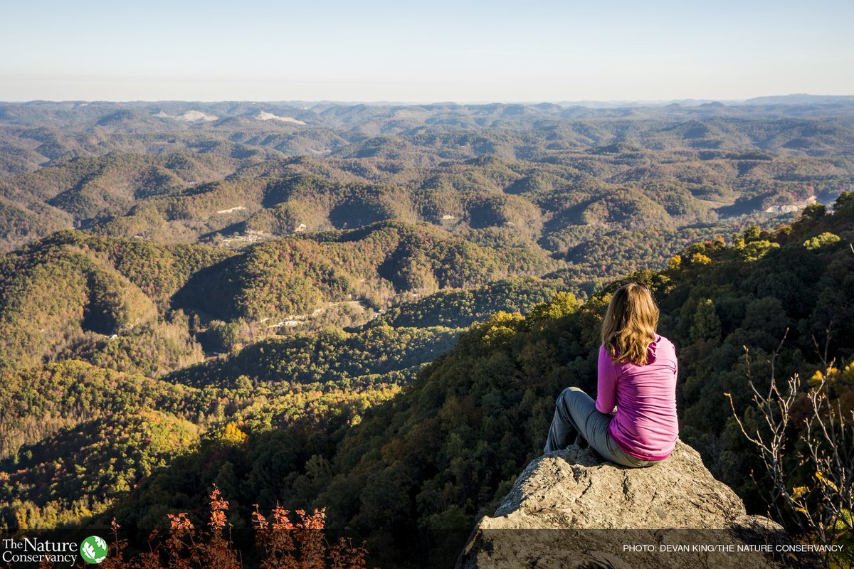 nature_org's tweet photo. Just a few minutes in nature can reduce your stress, boost your self-esteem, and help you think more creatively. #InternationalSelfCareDay https://t.co/opLLirUGks