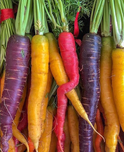 #DYK carrots are made up of 87% water &amp; can come in colors other than orange, including white, yellow, red, &amp; purple? How do you enjoy carrots? *Photo by @botanicaetcetera