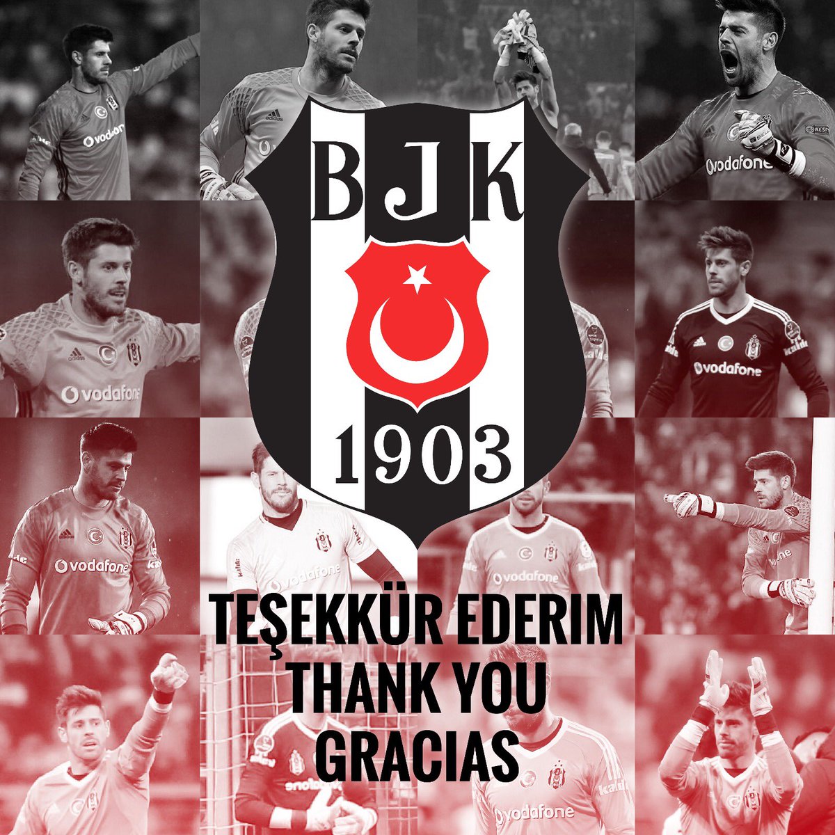 FabricioAgosto's tweet photo. Teşekkür ederim! 
Thank you!
Gracias!
🦅 https://t.co/umXqKYuTDC