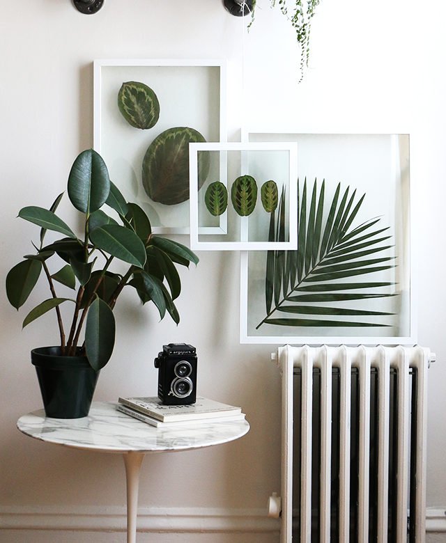 Do you know you can make easy pressed plant art DIY projects with your houseplants at home? From floating frames to farmhouse style window frame and many more ideas to try! Click goo.gl/XWChpt!  #InternationalSelfCareDay #DIY #housedecor #art