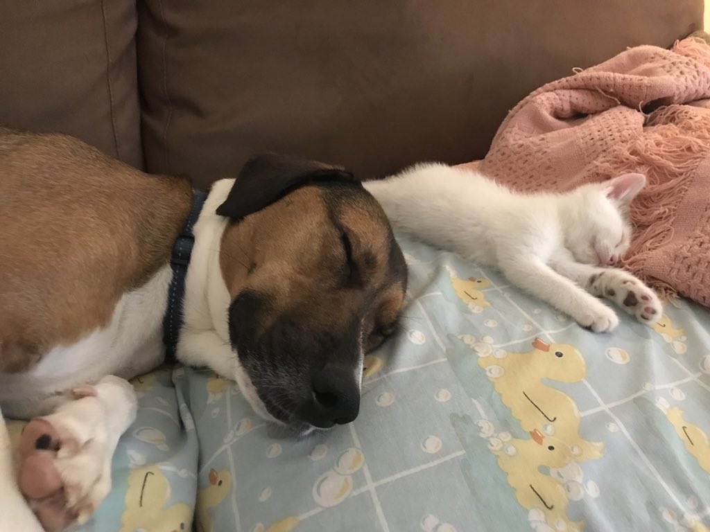 Jay Korff tweet media