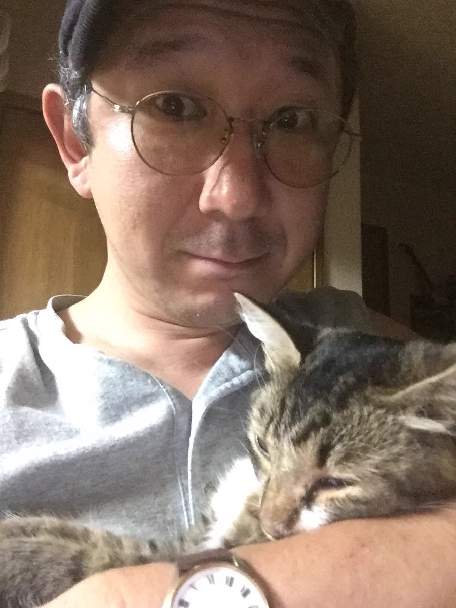 猫は人語を理解している！？家出中の猫のことをノラのボス猫にお願いしてみたｗｗ