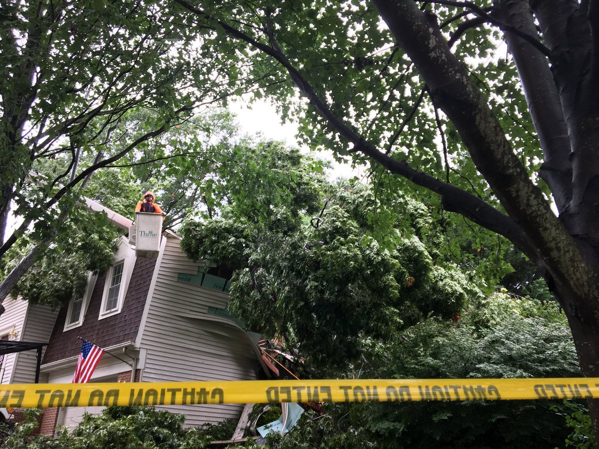 BURKE FATALITY: “It was like a gunshot,” a neighbor says, after this tree crashed through the roof of a home, killing a 65 yo woman. #fatality #tree