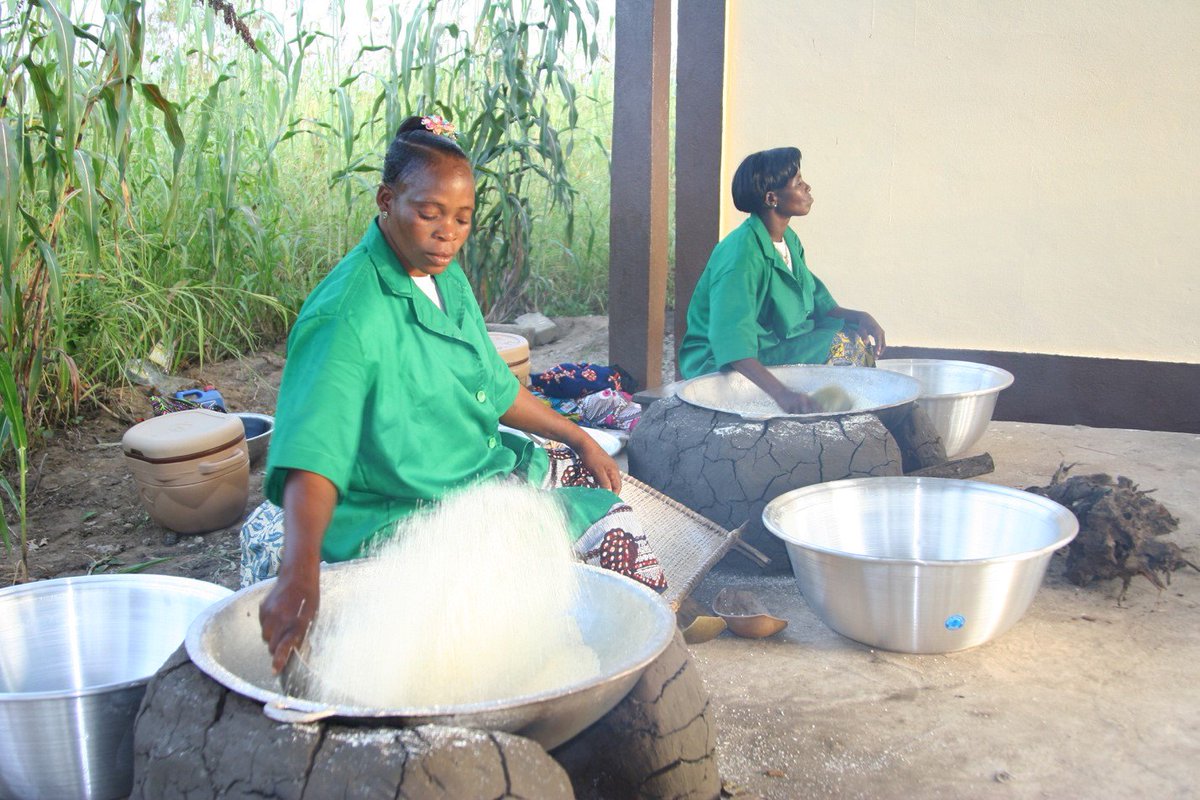 ofedinter's tweet photo. In these pictures, women members of Simplified Cooperative Societies are preparing Gari (Casava grits) that they will then sell on the market.Unlock more opportunity for rural women entrepreneurs by giving monthly: https://t.co/dbFI7YjXw6 #OFED #WomeninBusiness #Gari https://t.co/VpoxJBv8RG